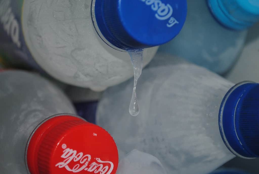 How Long Does it Take for Water to Freeze? Practical Cooks