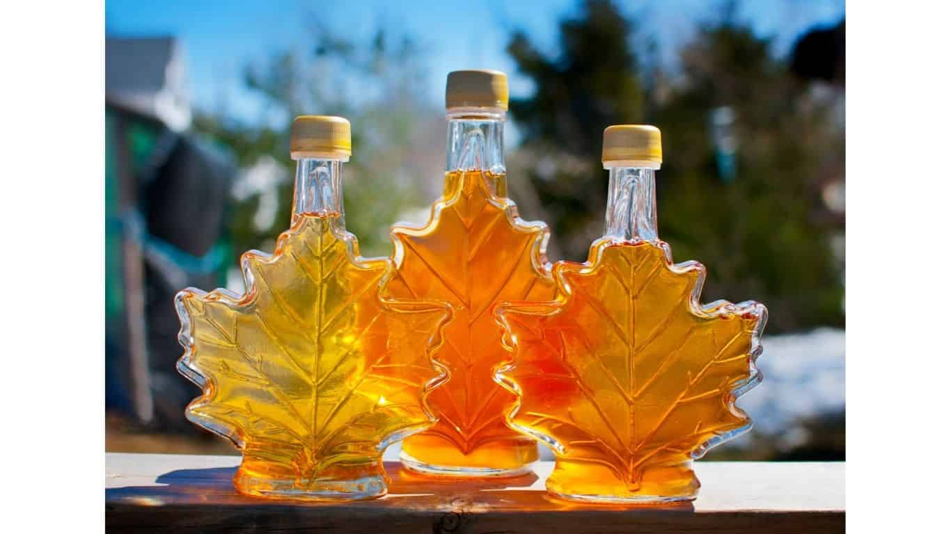 maple syrup maple syrup
