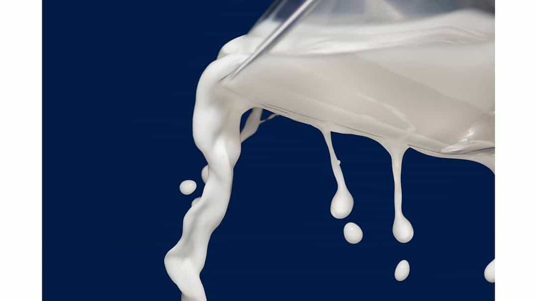 Can You Boil Milk in a Kettle? Practical Cooks
