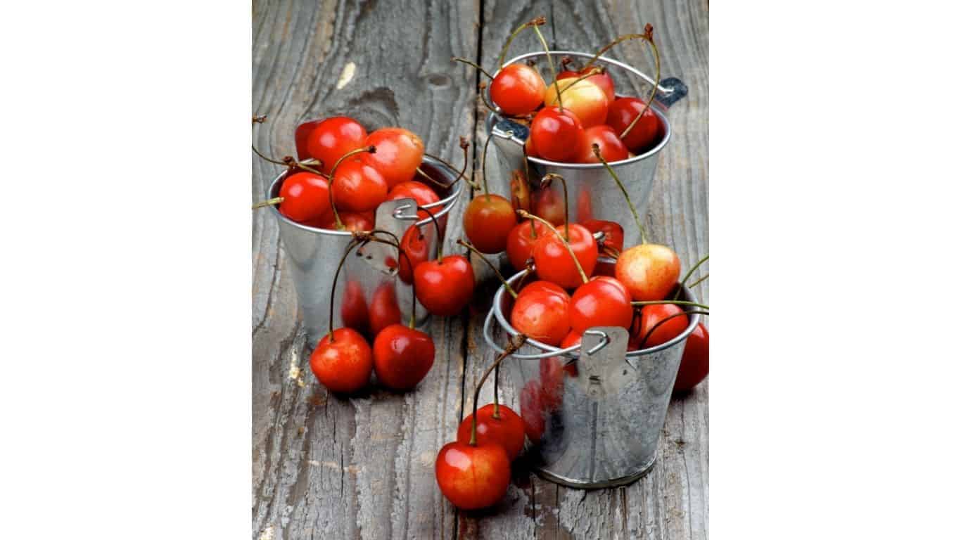 Where Do Maraschino Cherries Come From