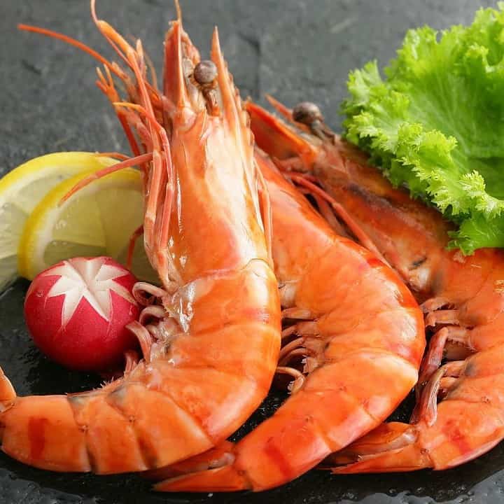 Can You Refreeze Lasagna? Practical Cooks