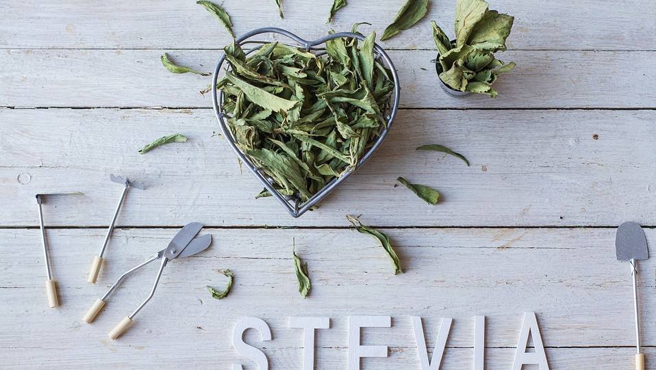 Can Stevia Go Bad? Practical Cooks