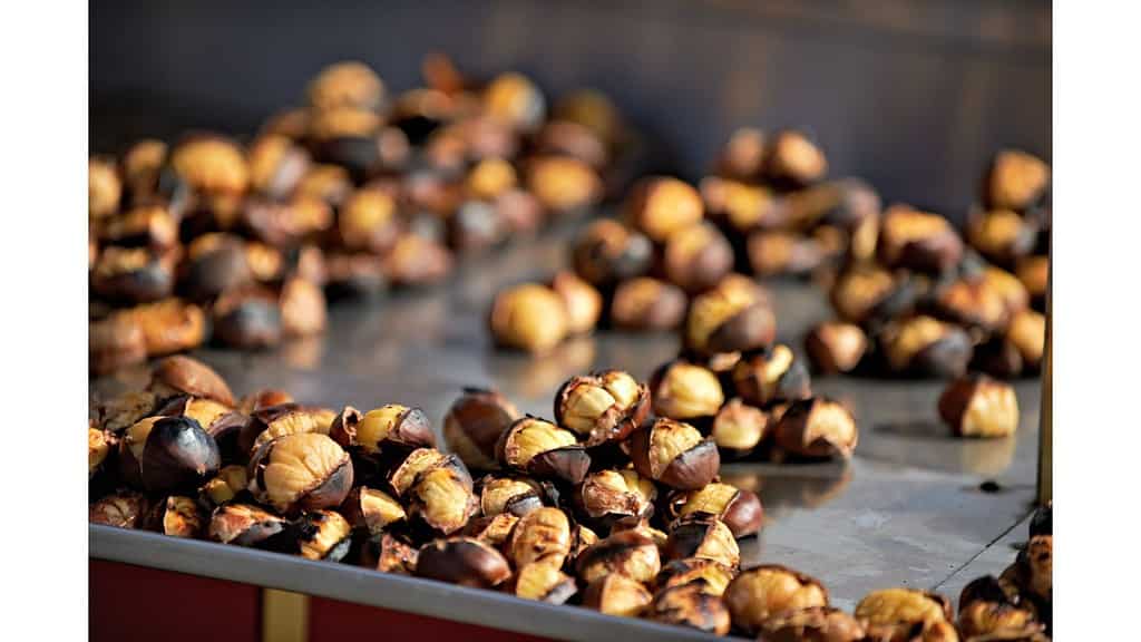 Are Chestnuts Healthy