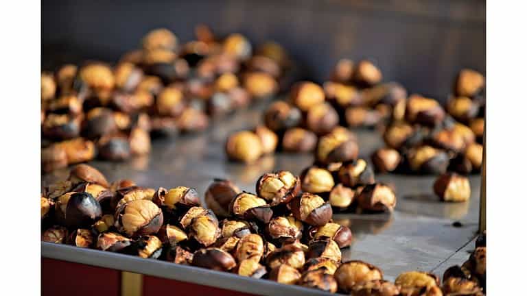 Are-Chestnuts-Healthy