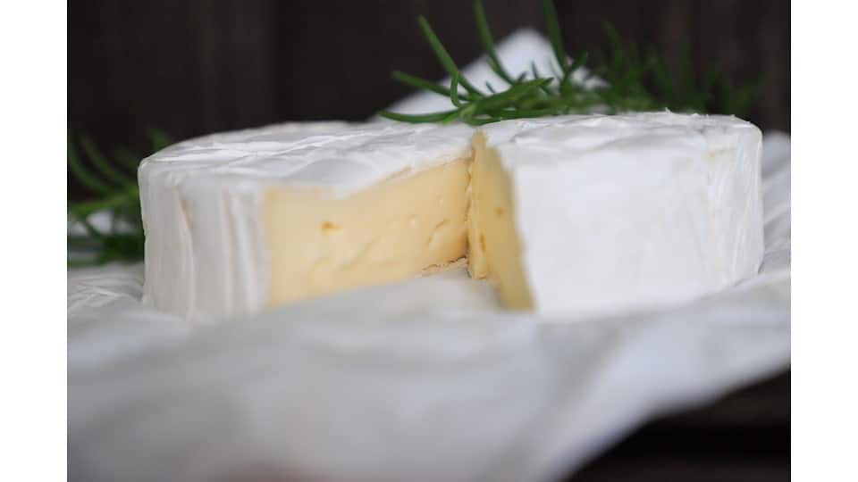 Can Kraft Cheese Powder Go Bad? Practical Cooks