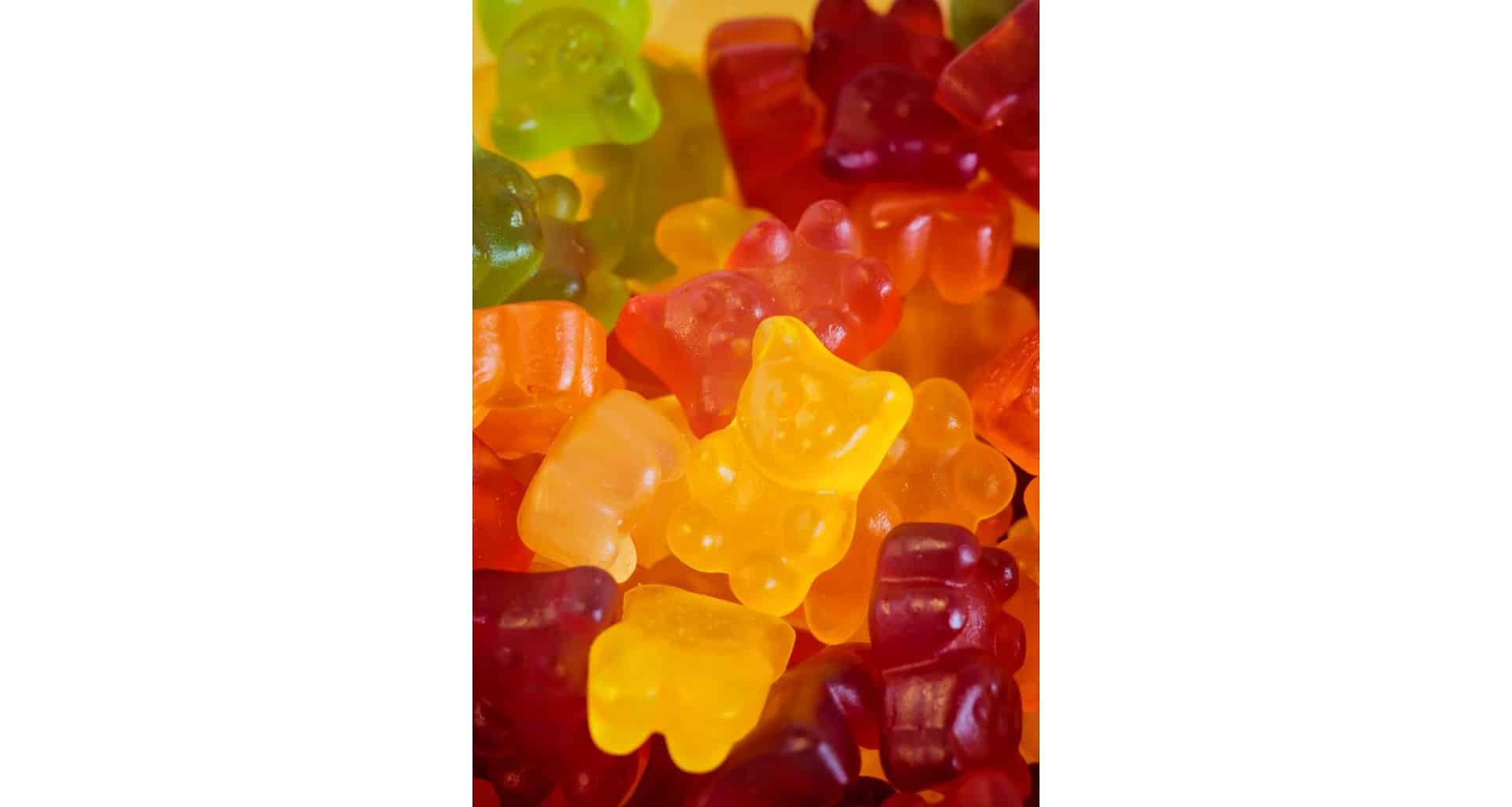Why Are Haribo Gummy Bears Hard? - Practical Cooks