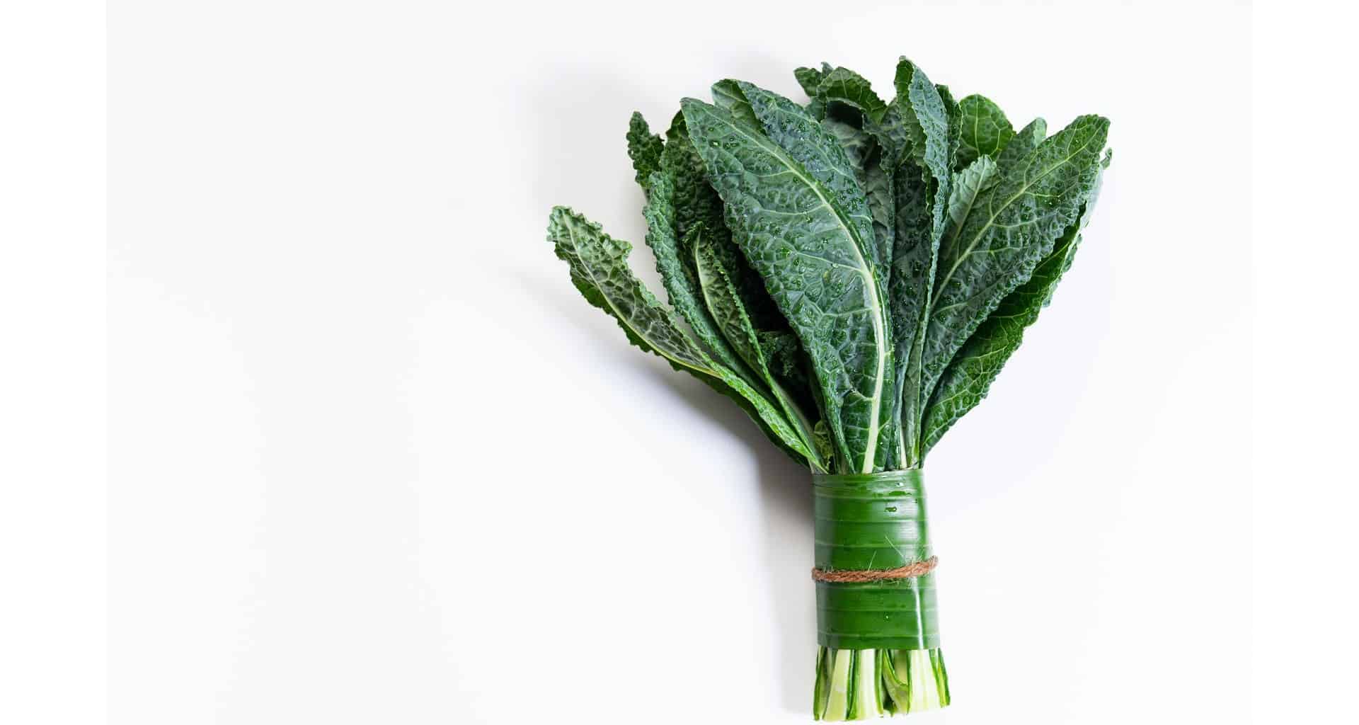 how-much-is-a-bunch-of-kale-practical-cooks