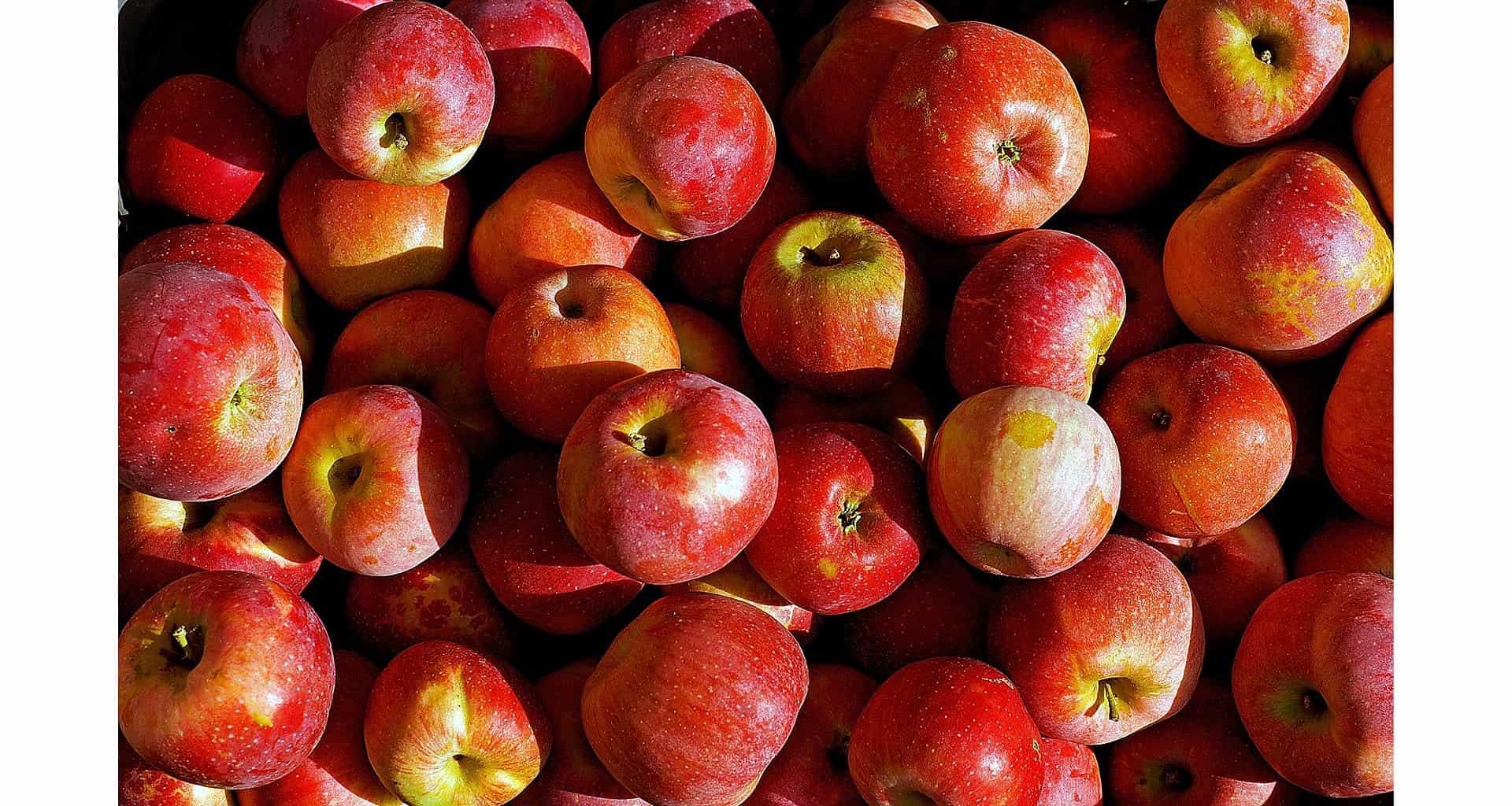 Here Are 19 Of The Sweetest Apples (From Sweet to Tart) Practical Cooks