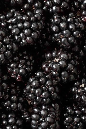 Blackberries