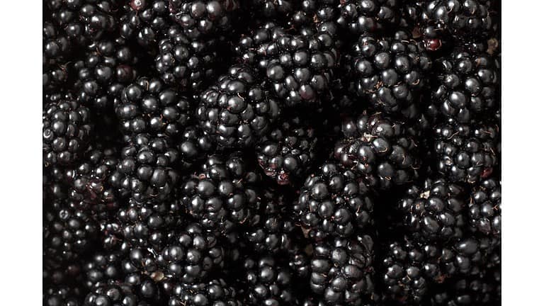 Blackberries