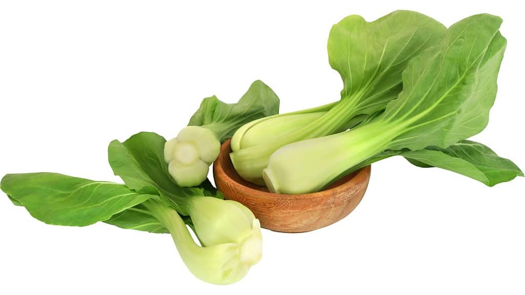 Bok Choy