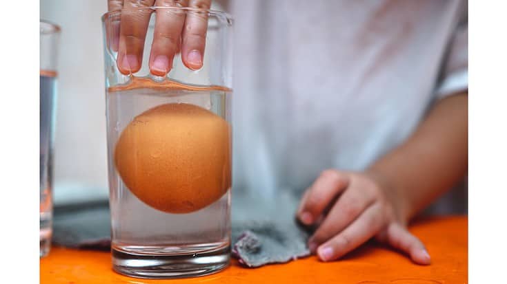 Left Eggs in Car Overnight - Are They OK? - Practical Cooks