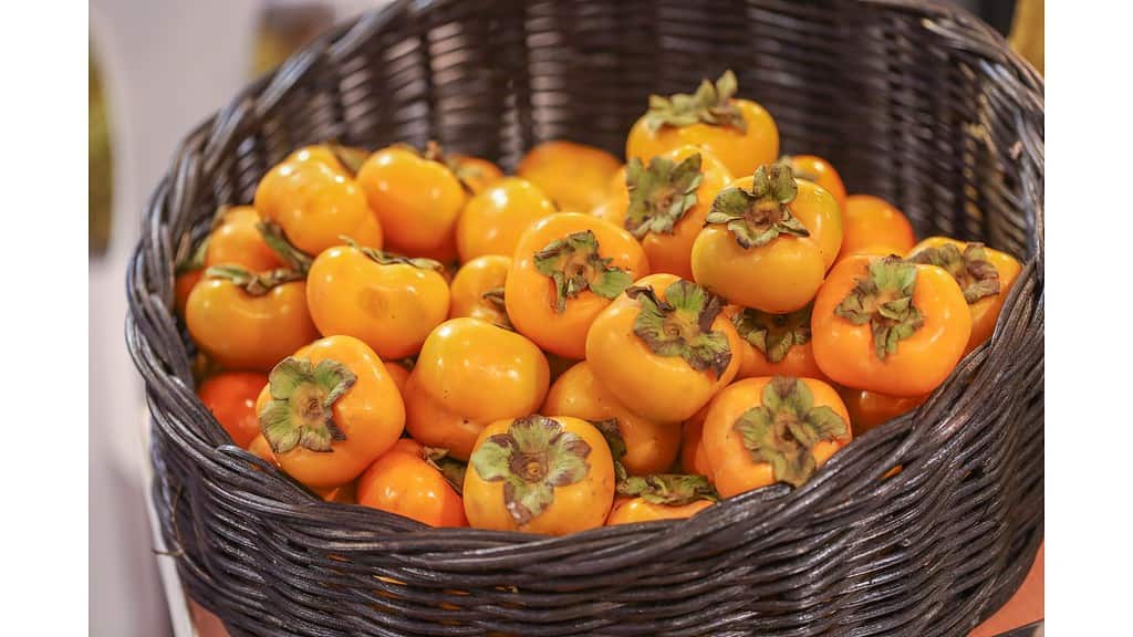 Storing a Ripe Persimmon