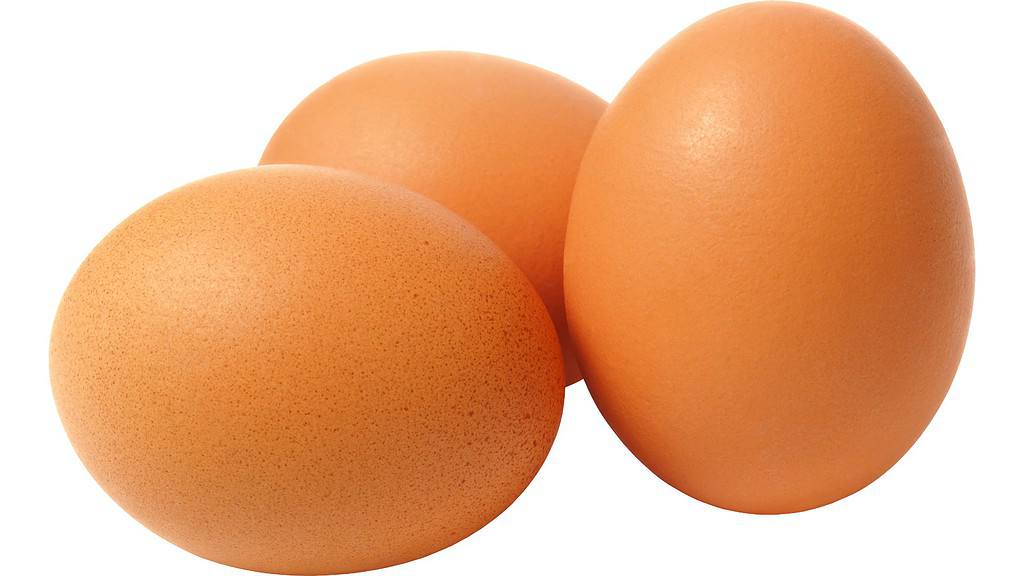 Egg