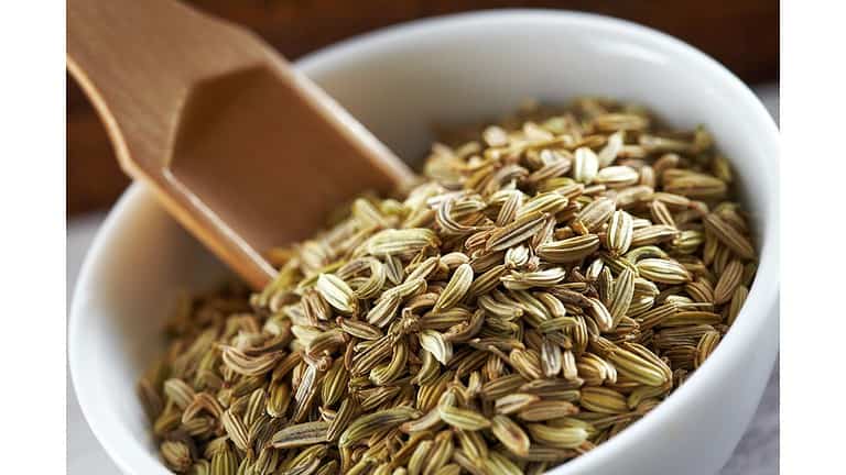 Fennel