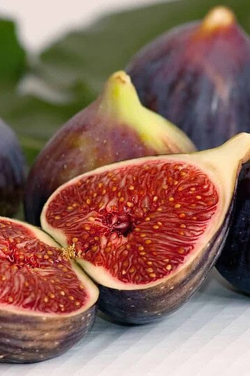 Fig