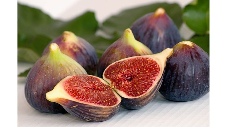 Fig