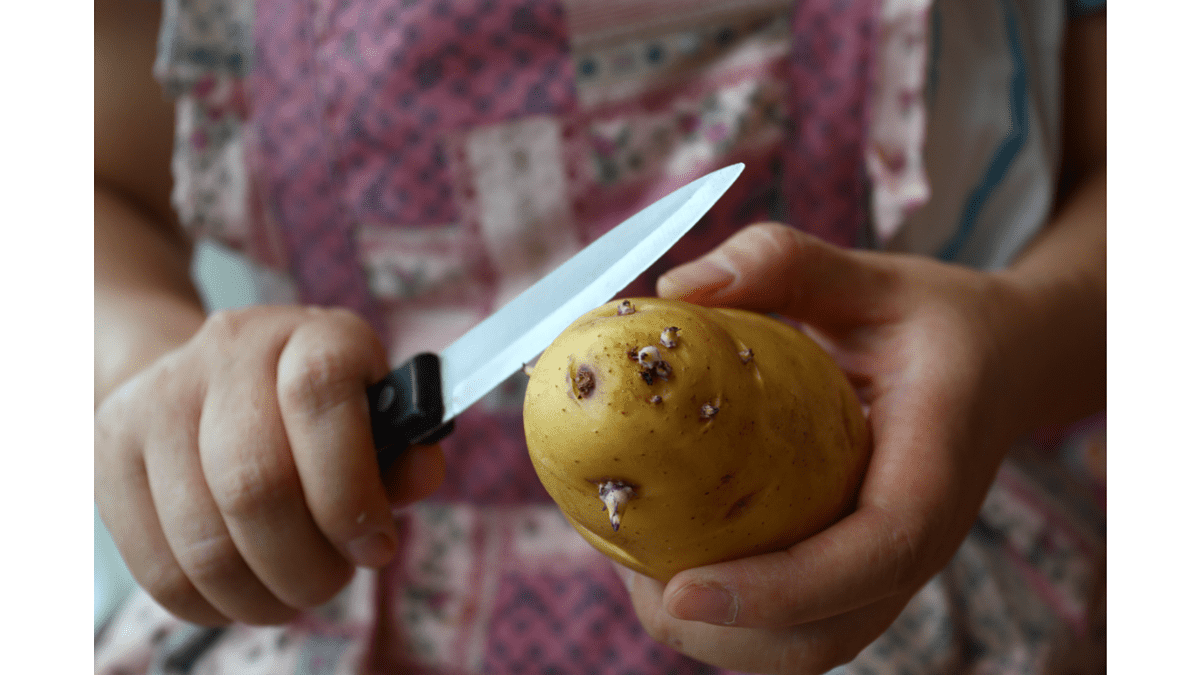 Can You Eat Sprouted Potatoes? Everything You Need to Know - Practical