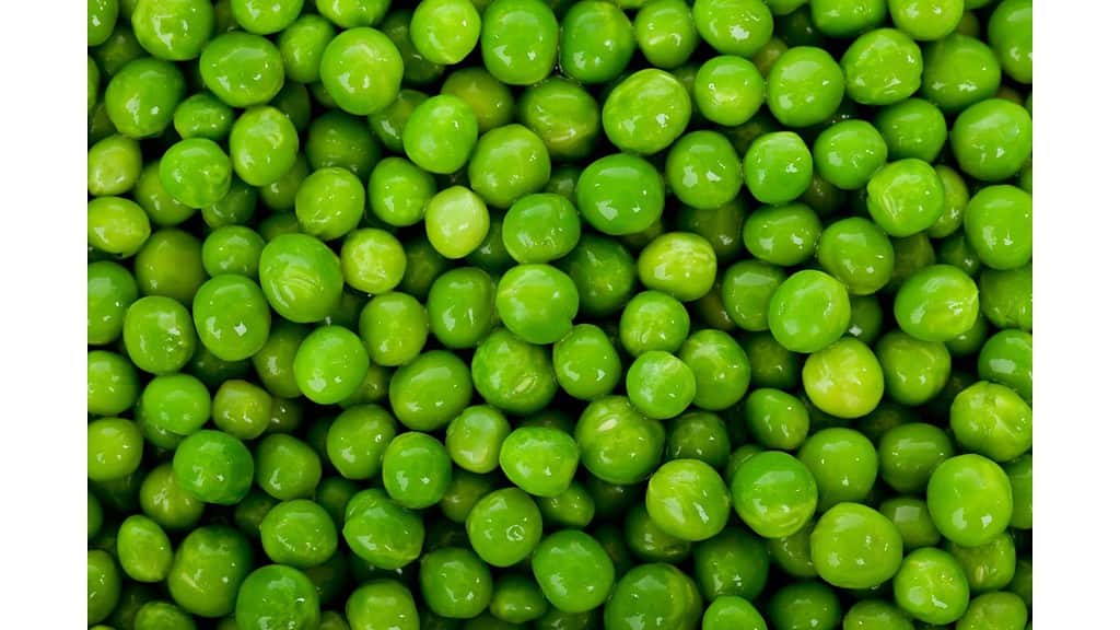 Pea