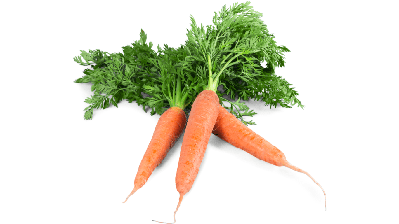 Can You Eat Expired Carrots? Practical Cooks