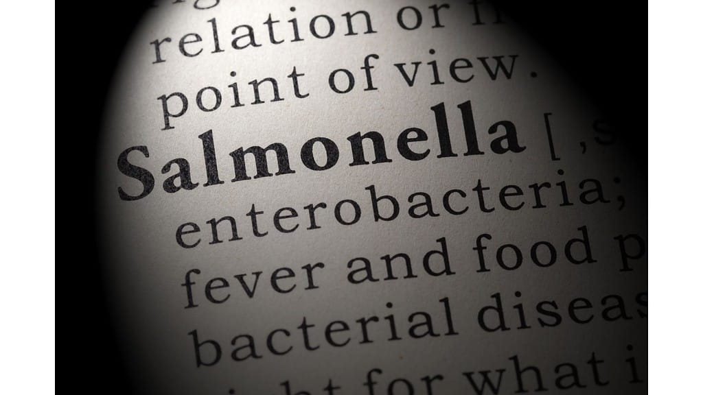 What Is Salmonella