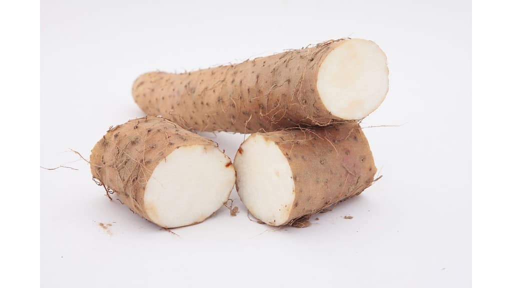 Yam