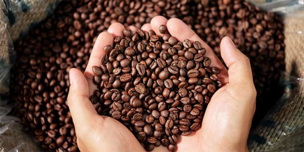 Factors Affecting the Number of Coffee Beans in an Espresso Shot