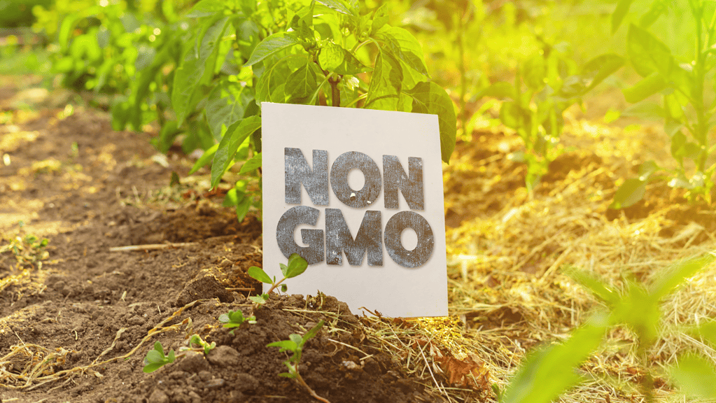 Non-GMO Options