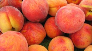 freezing peaches