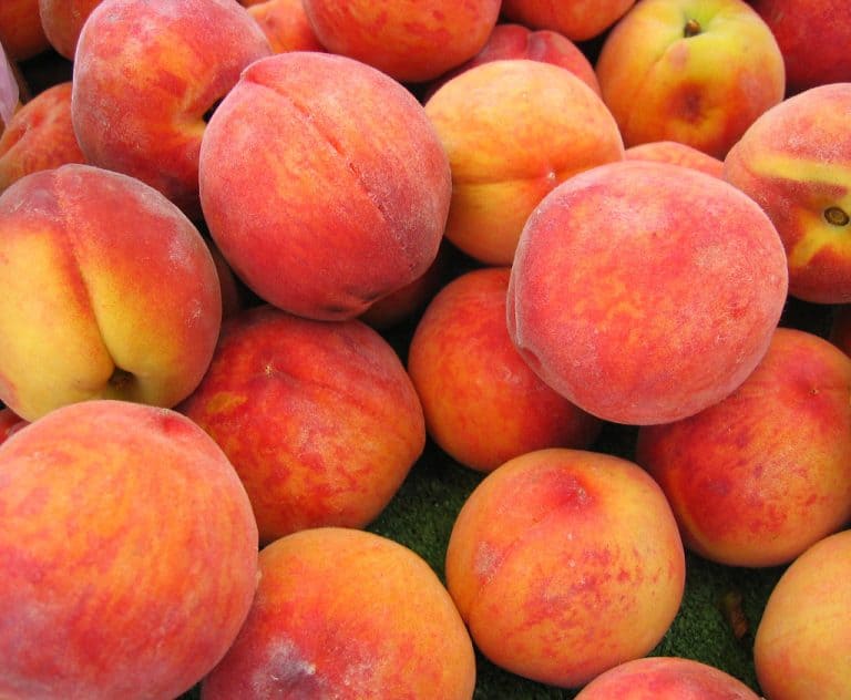 freezing peaches